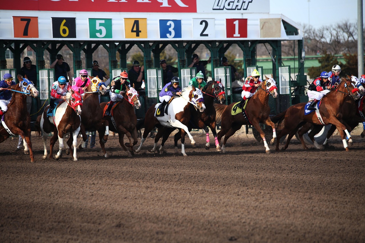 Professional Horse Racing Betting India Login: Step-by-Step Guide for India (2026)